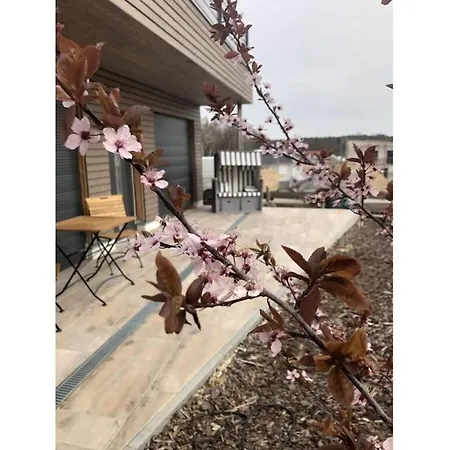 Idyll Comfortable 펜션