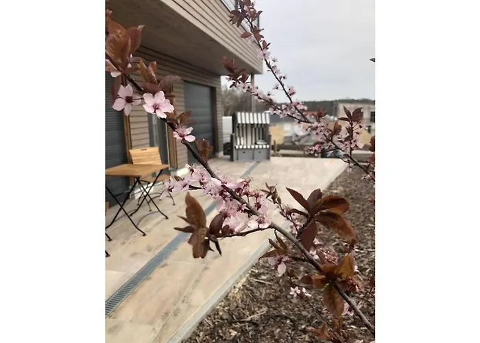 Idyll Comfortable Semesterbostad